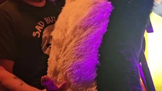 Blindfolded Canine edged by Daddy Bear until he cums