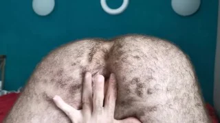 Culo peludo
