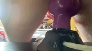 Fat Assed Twink Rides Huge Dog Dildo Knots And Cums